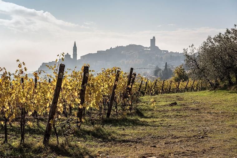 location castiglion fiorentino