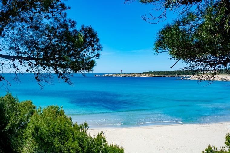 location maison istres