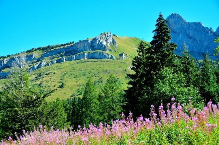 location appartement villard de lans