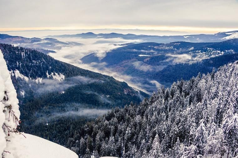 location chalet vosges