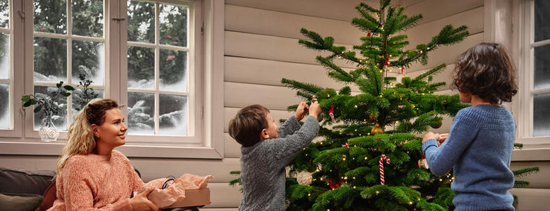 Vacances de Noël dans une maison de vacances